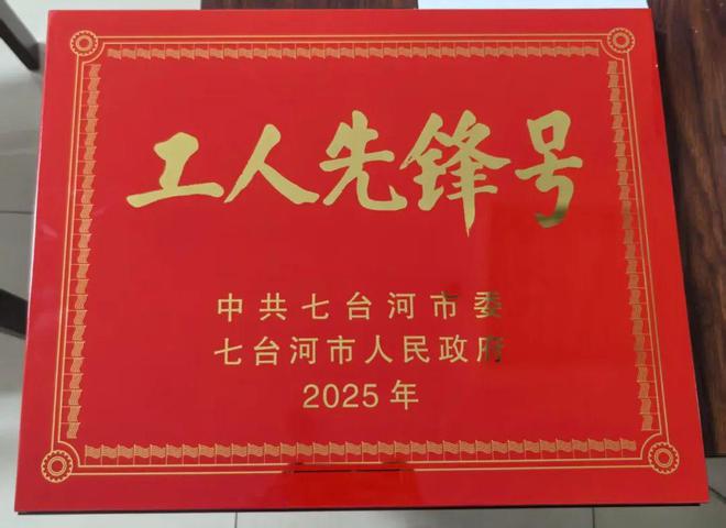 先锋号称号 2个个人获得五一劳动奖章称号七台河市体育局1个集体获得七台河市工人(图4)
