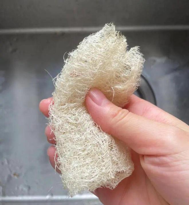 霉菌重灾区”很多人每天都在用惊到了！家里这些东西都是“(图17)