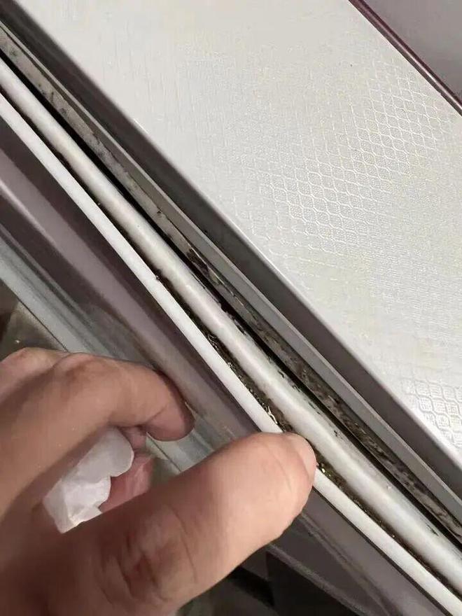 霉菌重灾区”很多人每天都在用惊到了！家里这些东西都是“(图19)