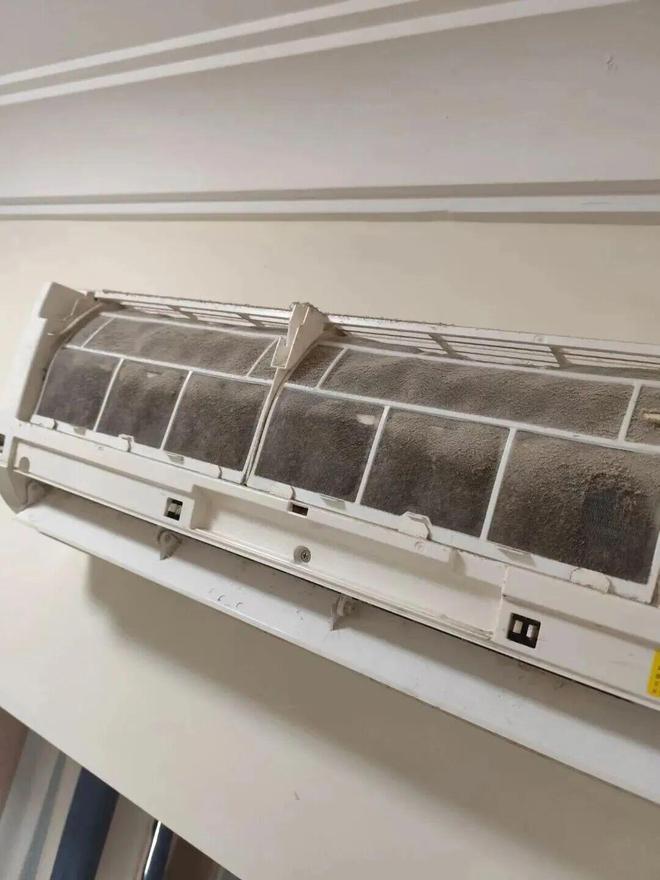 霉菌重灾区”很多人每天都在用惊到了！家里这些东西都是“(图27)