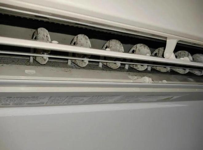 霉菌重灾区”很多人每天都在用惊到了！家里这些东西都是“(图23)